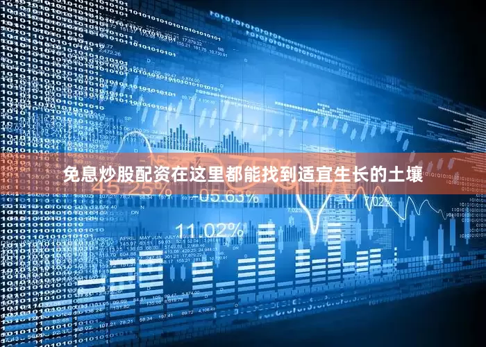 免息炒股配资在这里都能找到适宜生长的土壤