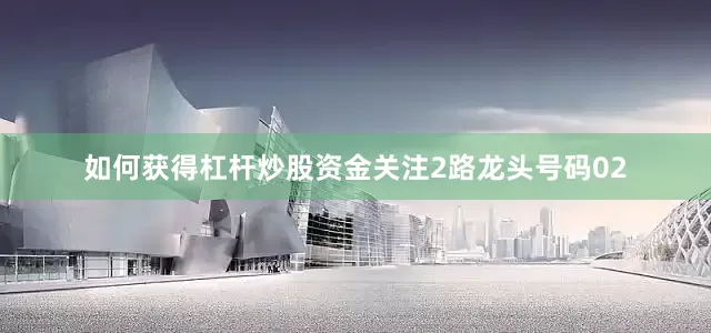 如何获得杠杆炒股资金关注2路龙头号码02