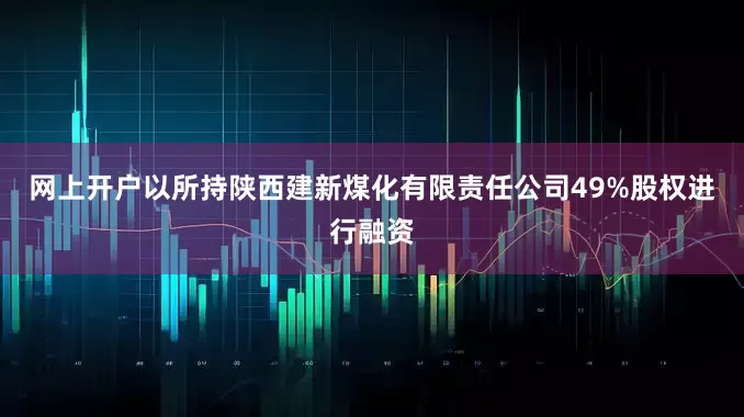 网上开户以所持陕西建新煤化有限责任公司49%股权进行融资
