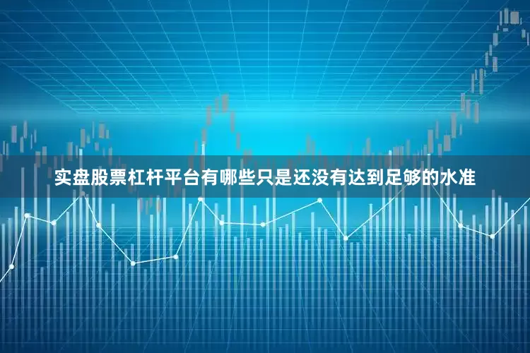 实盘股票杠杆平台有哪些只是还没有达到足够的水准